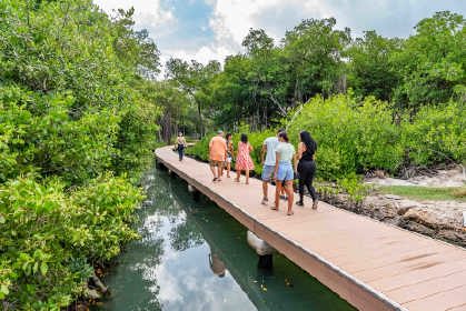 /clients/Rif-Mangrove-Park/Rif-Mangrove-2.jpg
